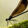 How do i start as a beginner in photographer?